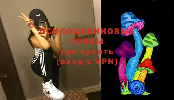 а пвп мука Няндома