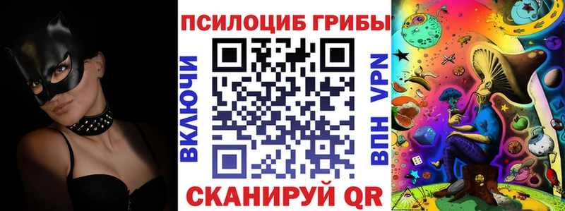 кракен зеркало  Химки  Псилоцибиновые грибы Psilocybine cubensis  дарнет шоп 