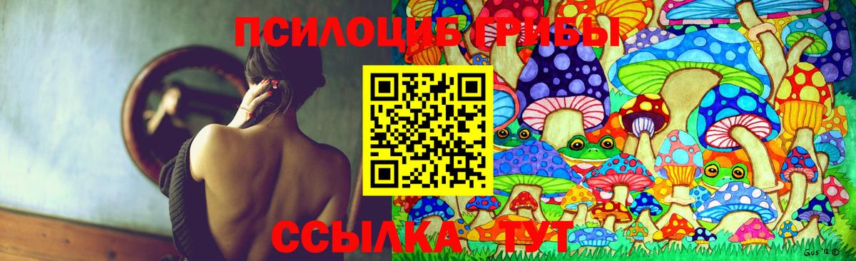 Химки  Галлюциногенные грибы прущие грибы  даркнет сайт  Вход с VPN 